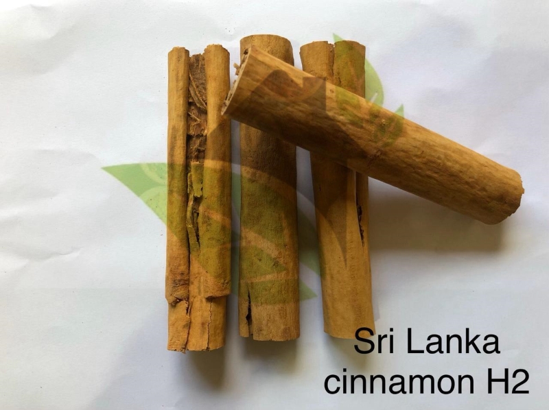 Cinnamon H2 5" inches Cut
